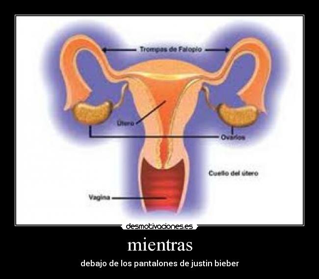 mientras - debajo de los pantalones de justin bieber