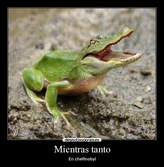 Mientras tanto - En cheRnobyl