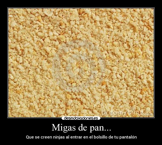 Migas de pan... - 