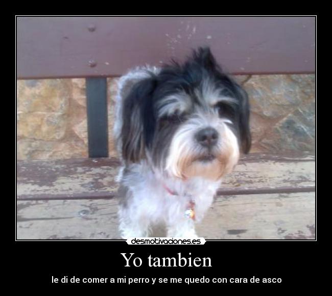 Yo tambien - 
