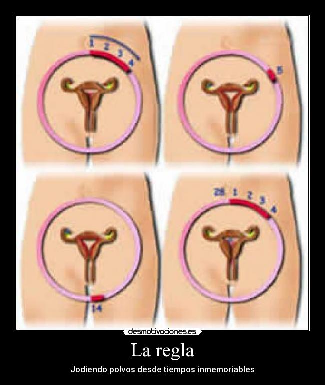 carteles regla polvos sexo desmotivaciones