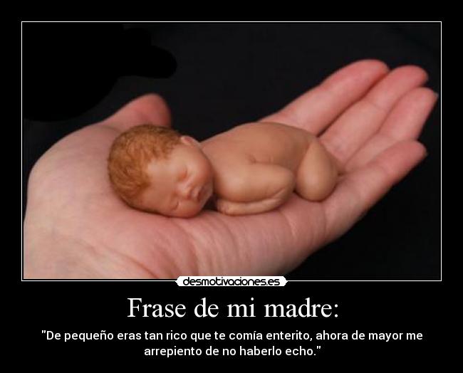 carteles madre bebe desmotivaciones