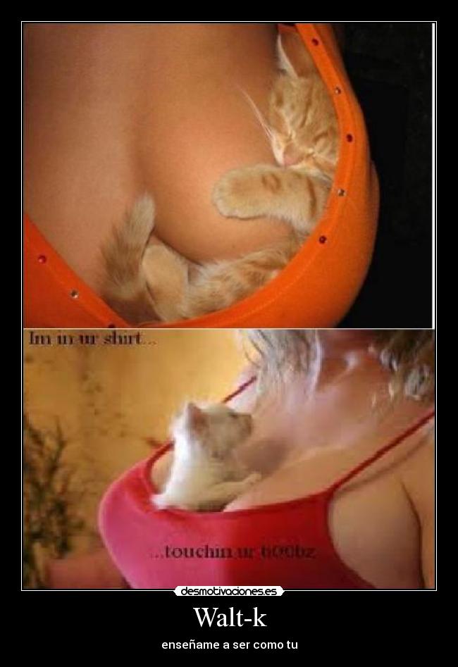 carteles paso ponme este cartel principal desmotivaciones