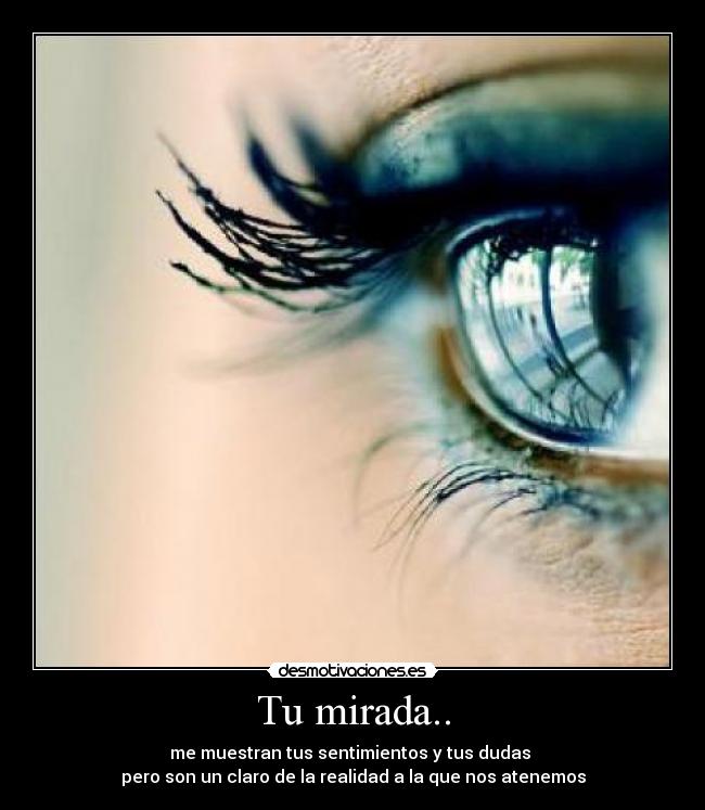 Tu mirada.. - me muestran tus sentimientos y tus dudas 
pero son un claro de la realidad a la que nos atenemos