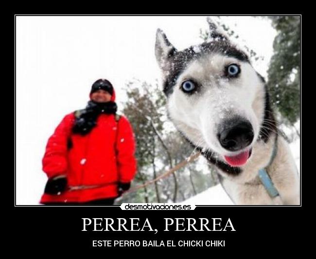 PERREA, PERREA -