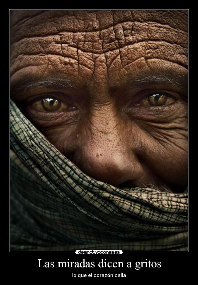carteles miradas corazon zorra implakable desmotivaciones