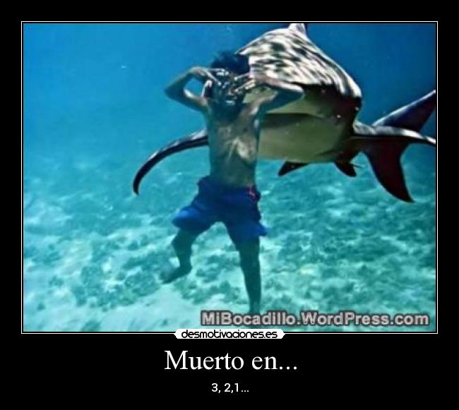 Muerto en... -