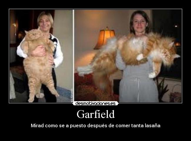 Garfield - 