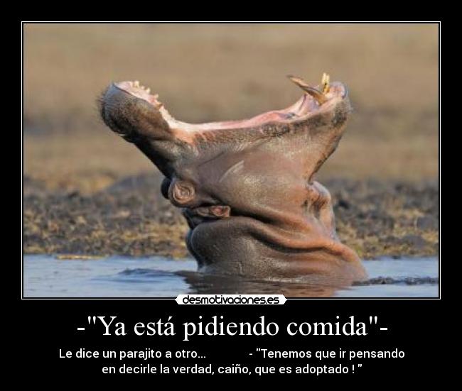 -Ya está pidiendo comida- - Le dice un parajito a otro...               - Tenemos que ir pensando
en decirle la verdad, caiño, que es adoptado ! 