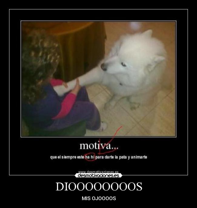 DIOOOOOOOOS - MIS OJOOOOS
