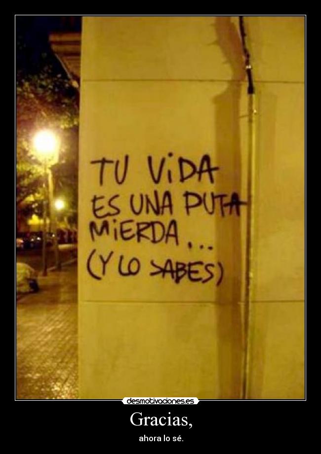 carteles vida grafiti gracias desmotivaciones