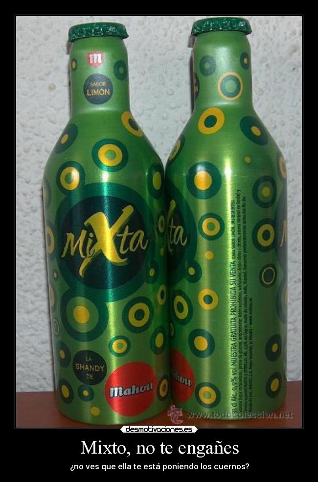 carteles mixto mixta desmotivaciones