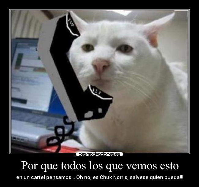 Por que todos los que vemos esto - 