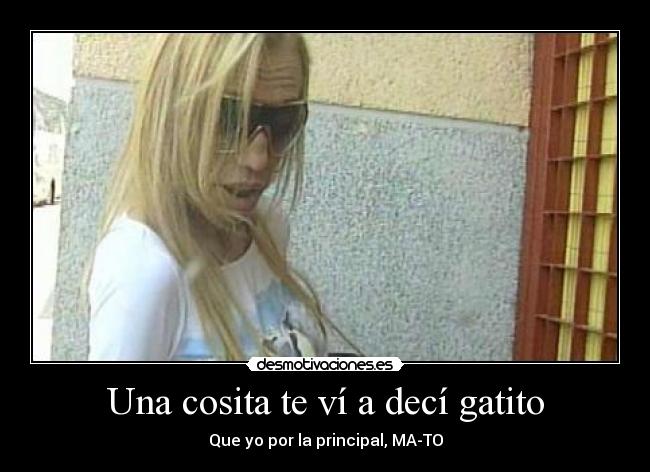Una cosita te ví a decí gatito -