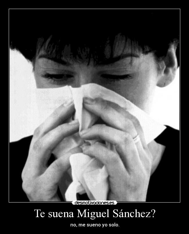 Te suena Miguel Sánchez? -