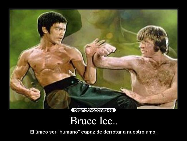 carteles bruce lee desmotivaciones