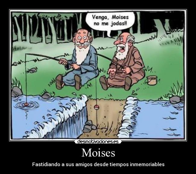 carteles mosies lol pesca amigos jodiendo desmotivaciones