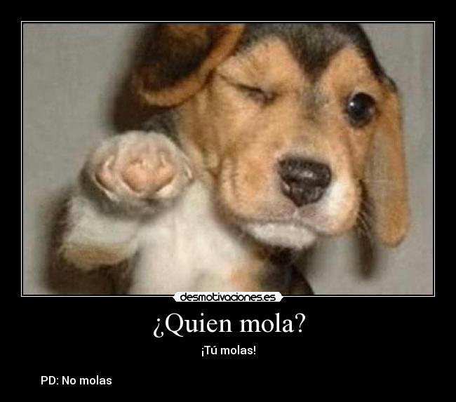 ¿Quien mola? - ¡Tú molas!

  PD: No molas                                                                                                              