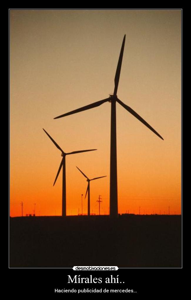 Mírales ahí.. - 
