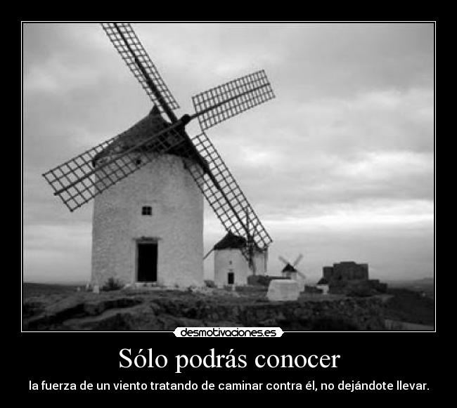 Sólo podrás conocer -