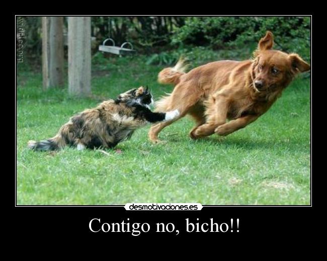 Contigo no, bicho!! -