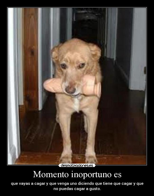 Momento inoportuno es - que vayas a cagar y que venga uno diciendo que tiene que cagar y que
no puedas cagar a gusto.