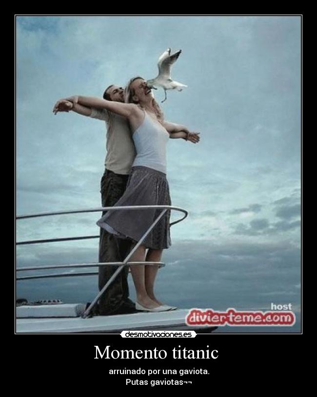 Momento titanic - arruinado por una gaviota.
Putas gaviotas¬¬