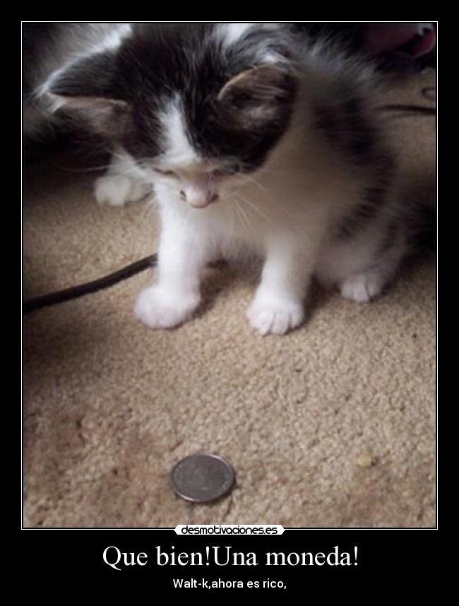 Que bien!Una moneda! - 