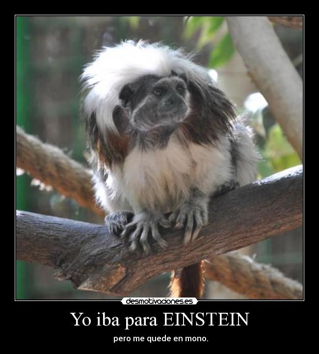 Yo iba para EINSTEIN -