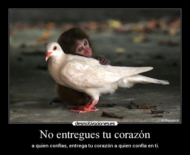 No entregues tu corazón - 