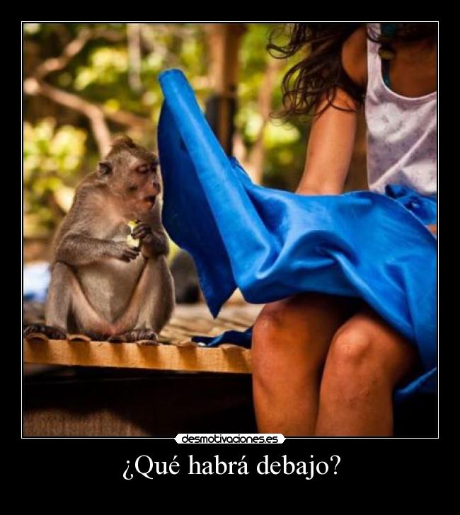 ¿Qué habrá debajo? - 