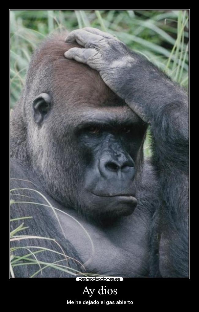 Ay dios -