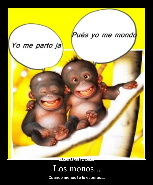 Los monos... - Cuando menos te lo esperas....