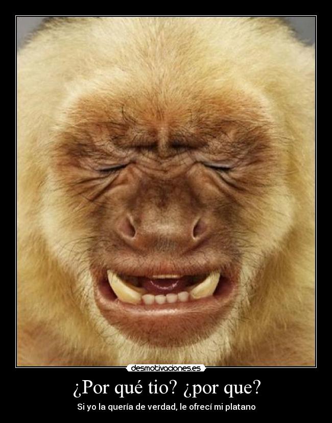 ¿Por qué tio? ¿por que? - 