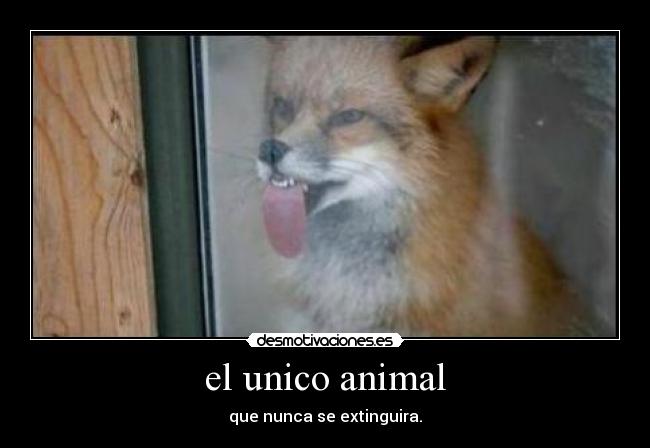 el unico animal - que nunca se extinguira.