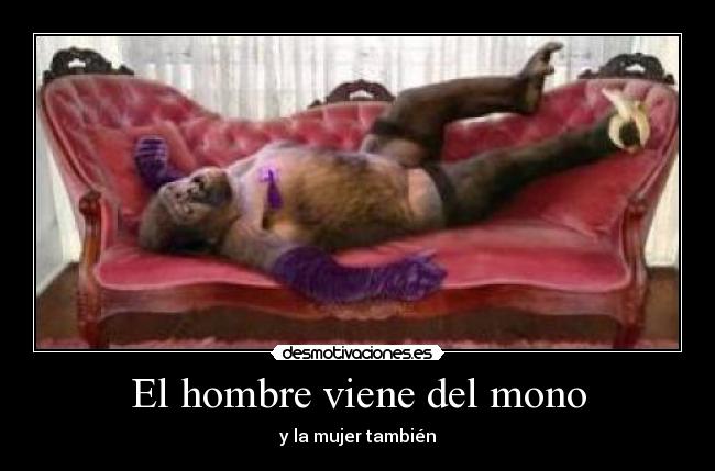 El hombre viene del mono - 