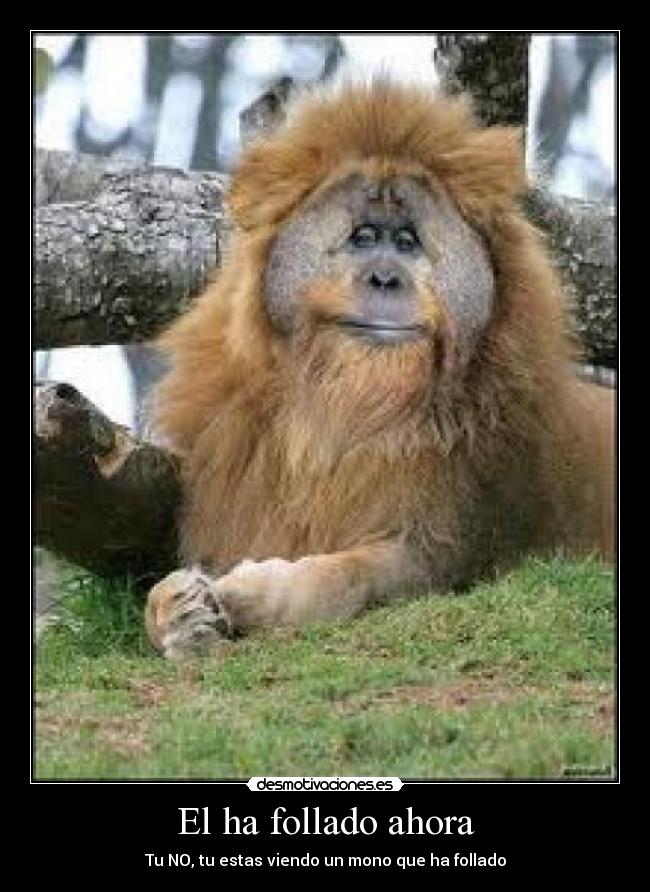 El ha follado ahora -
