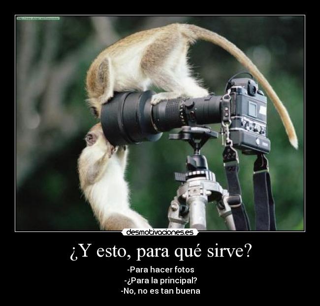 ¿Y esto, para qué sirve? - -Para hacer fotos
-¿Para la principal?
-No, no es tan buena