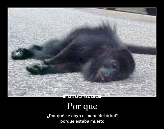 Por que - ¿Por qué se cayo el mono del árbol?
porque estaba muerto