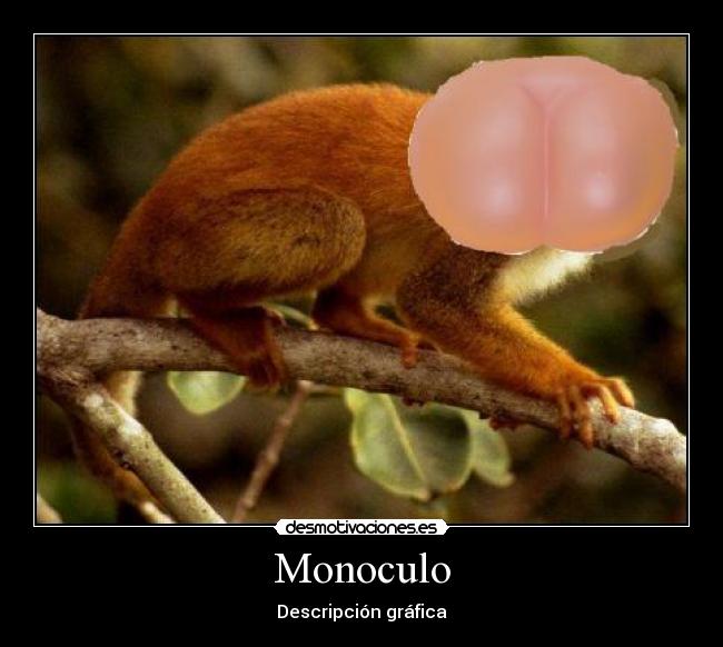 Monoculo - Descripción gráfica