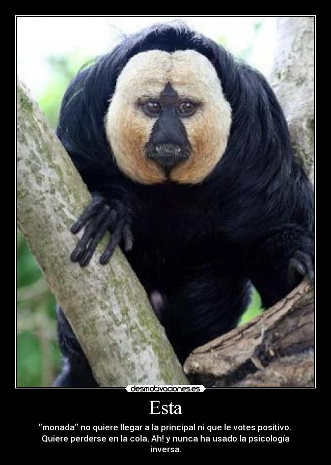 Esta - monada no quiere llegar a la principal ni que le votes positivo.
Quiere perderse en la cola. Ah! y nunca ha usado la psicología
inversa.