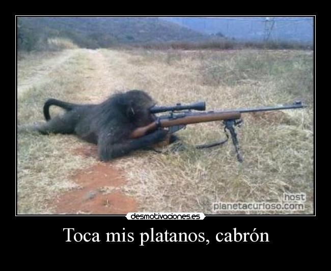 carteles mono platano rifle selva desmotivaciones