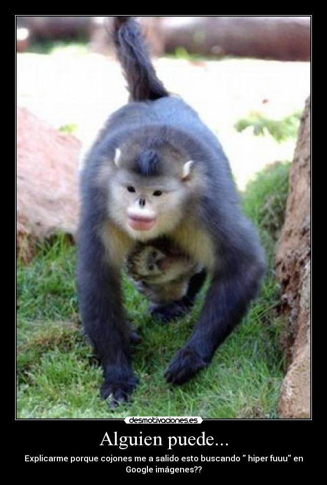 carteles pablo666 desmotivaciones