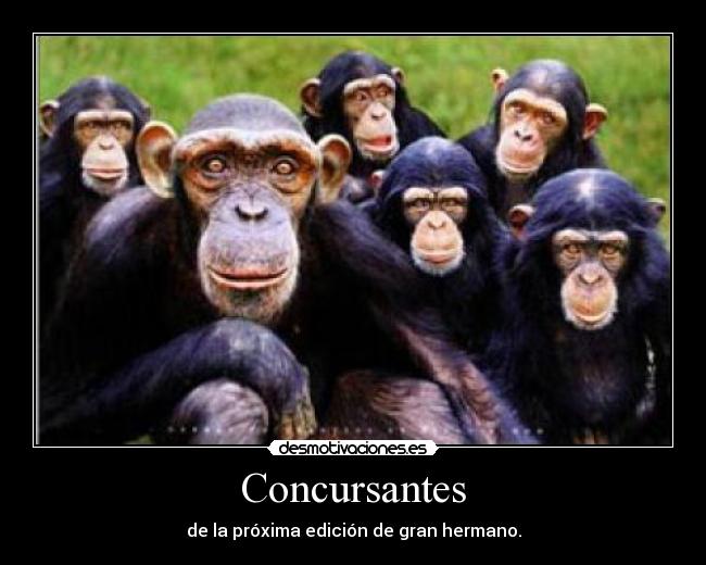 Concursantes -