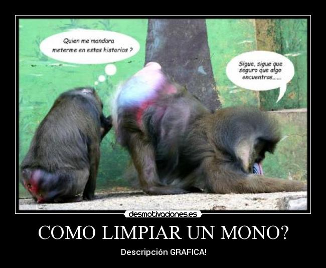 COMO LIMPIAR UN MONO? - 
