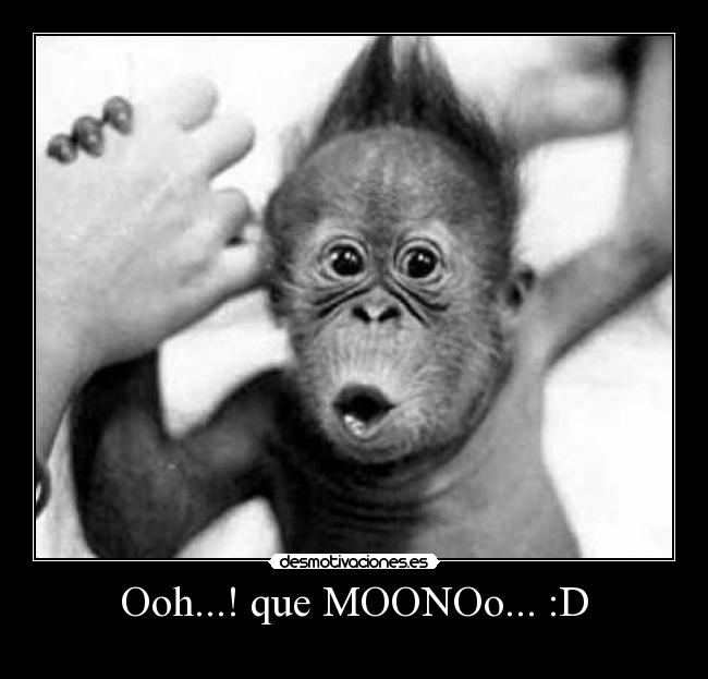 Ooh...! que MOONOo... :D -