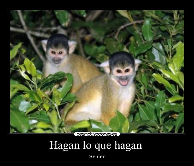 Hagan lo que hagan  - Se rien