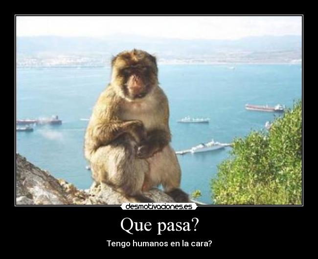 carteles monpkv desmotivaciones