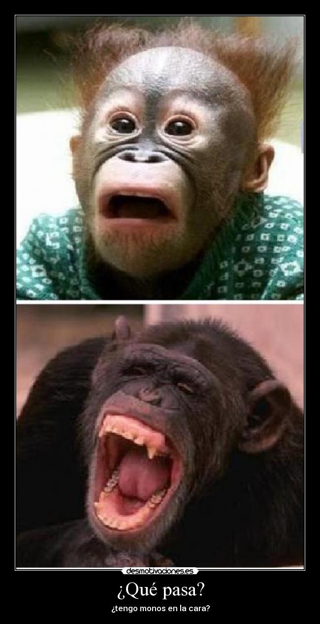 ¿Qué pasa? - ¿tengo monos en la cara?