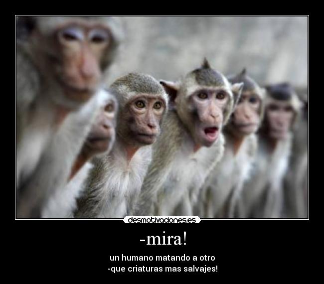 carteles humanos desmotivaciones